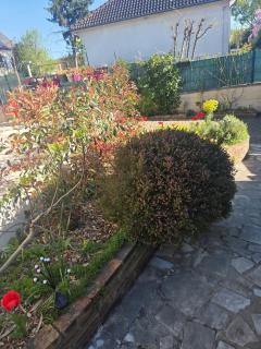 Havre de paix indépendant avec jardin & 2 chambres - 5