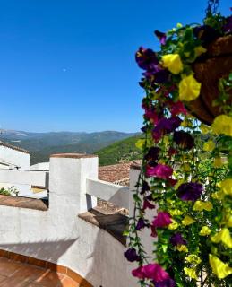 Casa Solana - 7