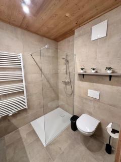 Alpin Studio Schladming 206 - 2