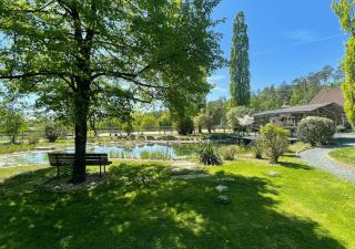 Hacienda del Piero - 8