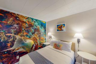 4 Studios walkable to downtown Dog Friendly WiFi - 8