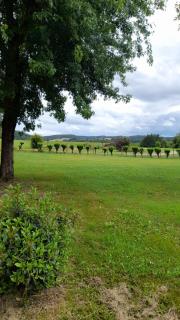 Le clos des noyers - 0