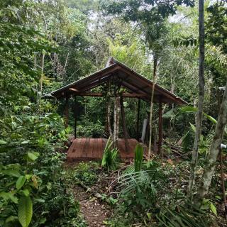 Camping AlterArte Ecovila - 0