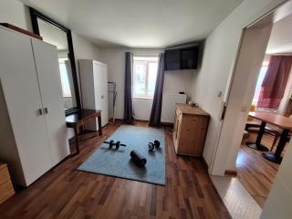 Ruhiges Apartment im Pielachtal für Einzel bis Gruppen im Naturerholungsgebiet -  - 4