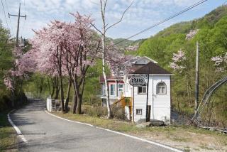 Dorothy Valley Pension Yangpyeong - 8