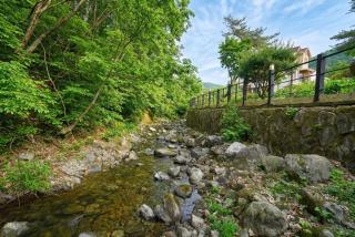 Dorothy Valley Pension Yangpyeong - 5