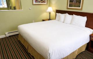 Colonial Motel - 3