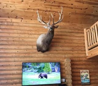 Lodgepole Pines Retreat - 1
