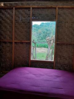 Sollo-Sollo Coco Farm Stay - 7