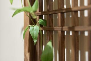 SeoulstationStay - 1