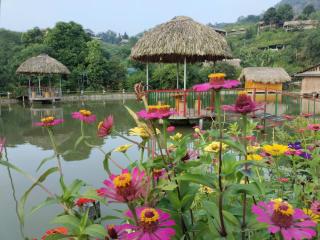 Bậc Thang Vàng Homestay - 1