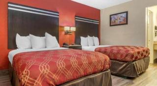 Econo Lodge Columbia Fort Jackson - 8