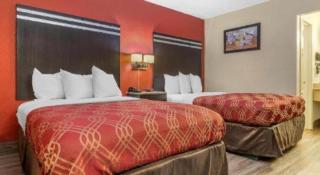 Econo Lodge Columbia Fort Jackson - 4