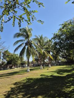 Solmar - 6