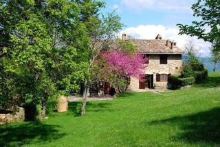Agriturismo Tenuta Le Silve - Asís - 2
