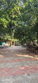 Hotel Saffron Indian Spice Resort - 5