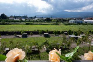 Villa Grazia Luxury Country Room - 9