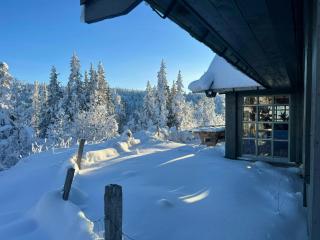 Fjellhytte Ved Syv Fjellvann I Sloko - 1