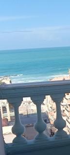 شاطىء النخيل - 9