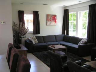 Spacious Holiday Park Villa for 10 - 1