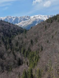Pensiunea Tabacaru - 6