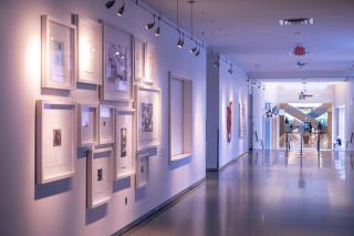 Radisson Blu Mall of America - 2