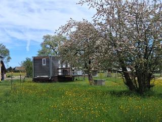 Tinyhaus Lara - Bad Waldsee - 0