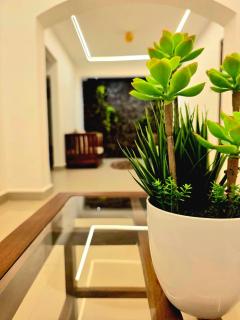 The Layover Lounge - Airport Transit Hotel - 1