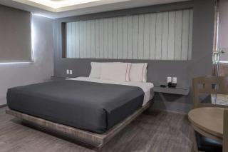 Hotel MX congreso CDMX, Trademark Collection by Wyndham - 4