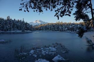 Hotel Pension Tyrol - Seefeld in Tirol - 5