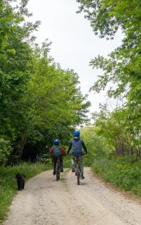 Rose Hip Hill Farm - 3