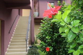 Modern Bassam Cocoon - 5