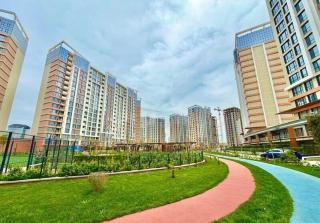 City Garden - 2