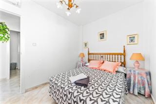 The lemon tree house - 3