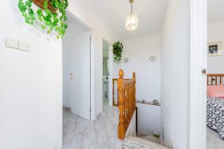 The lemon tree house - 1