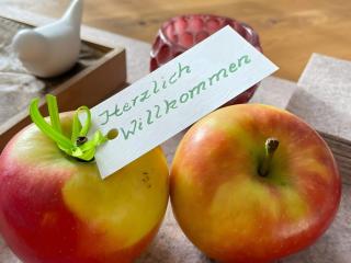 Das Alpennest - 3
