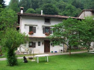 B&B IN FATTORIA - Frisanco - 8