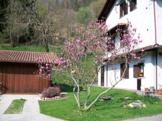 B&B IN FATTORIA - Frisanco - 1