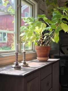 Rustik flygel med loft nära skog & badsjö - Nora - 6