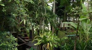 P&P Coffee & Resort Maesariang - 3