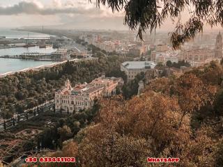 2Bedroom Oasis In Historic Malaga Centre - 3