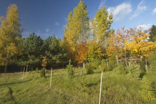 Landsitz Blankensee - 1