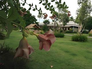 Pilton Resort - 3
