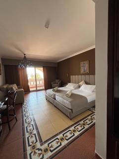 Domina Coral Bay Private Harem Pool - 9