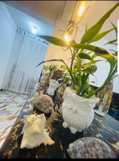 Vegetable Garden House - 6