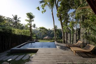 Bumi Kabins Ubud - 5
