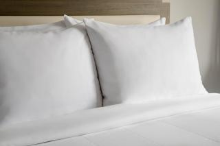 Sheraton Rockville Hotel - 9