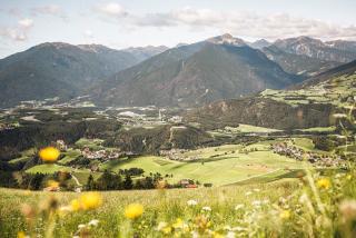 Obergasserhof - Rodeneck - 0