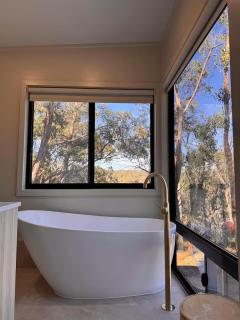 Zenith Tiny Home - 0