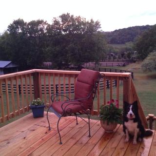 Full Circle Farm Inn - Franklin - 4